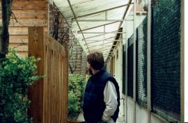 Abat Oiseau 1997-2